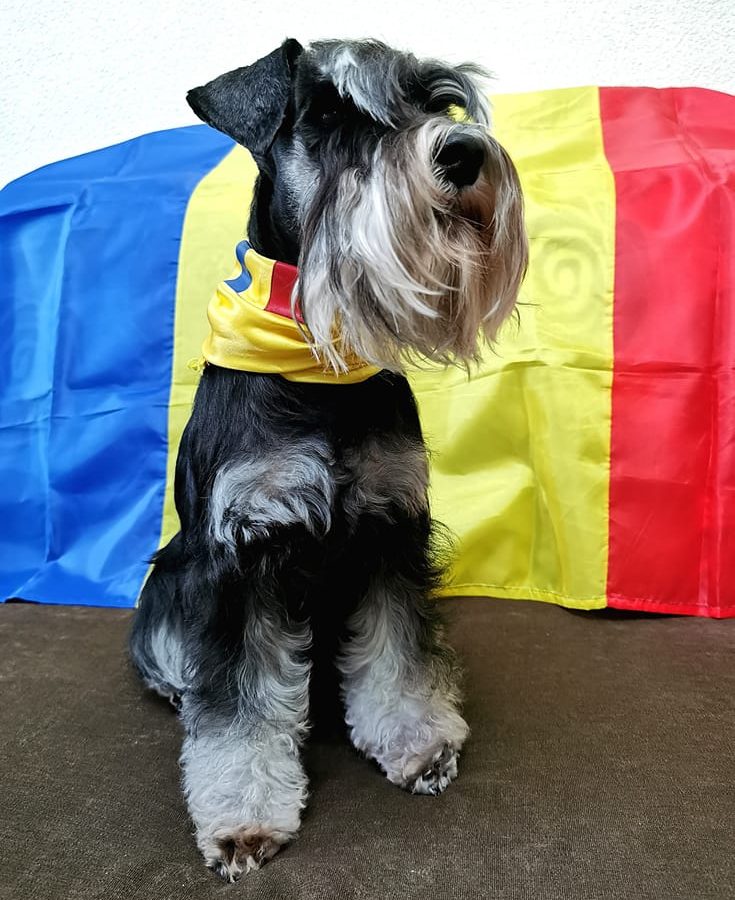 Kira Romania