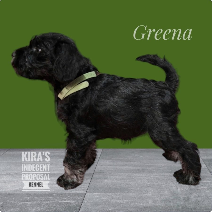 Greena1